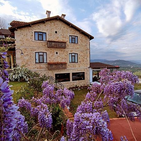 Hayat Oksijen Resort Ordu Kültér fotó