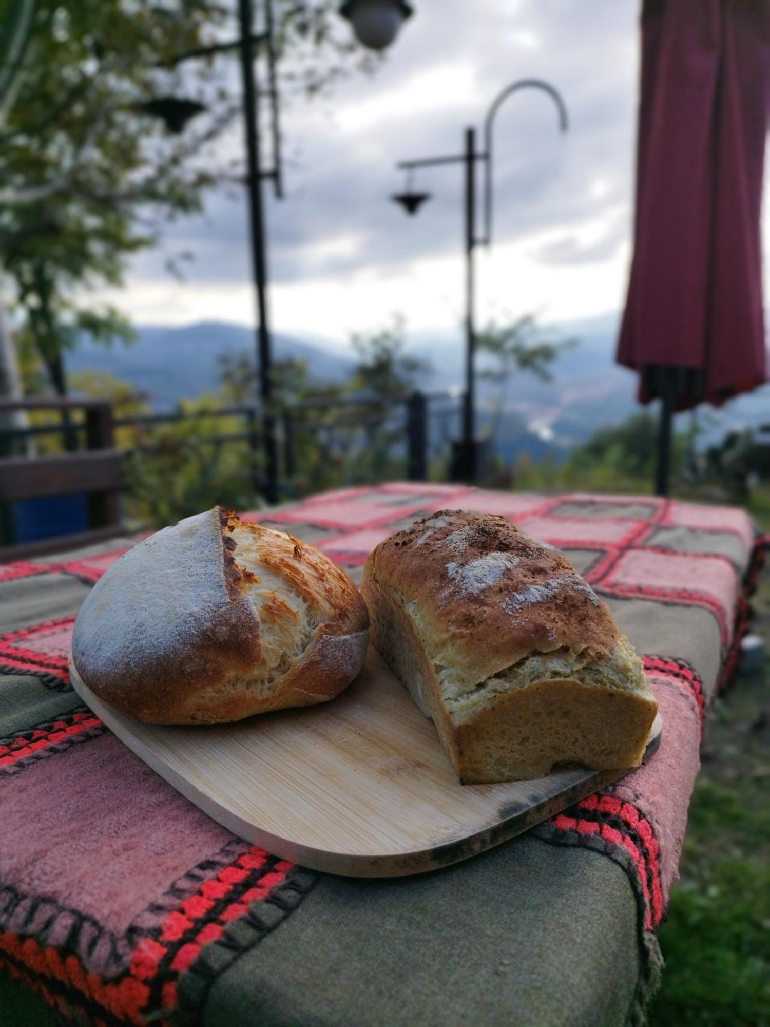 Hayat Oksijen Resort Ordu Kültér fotó