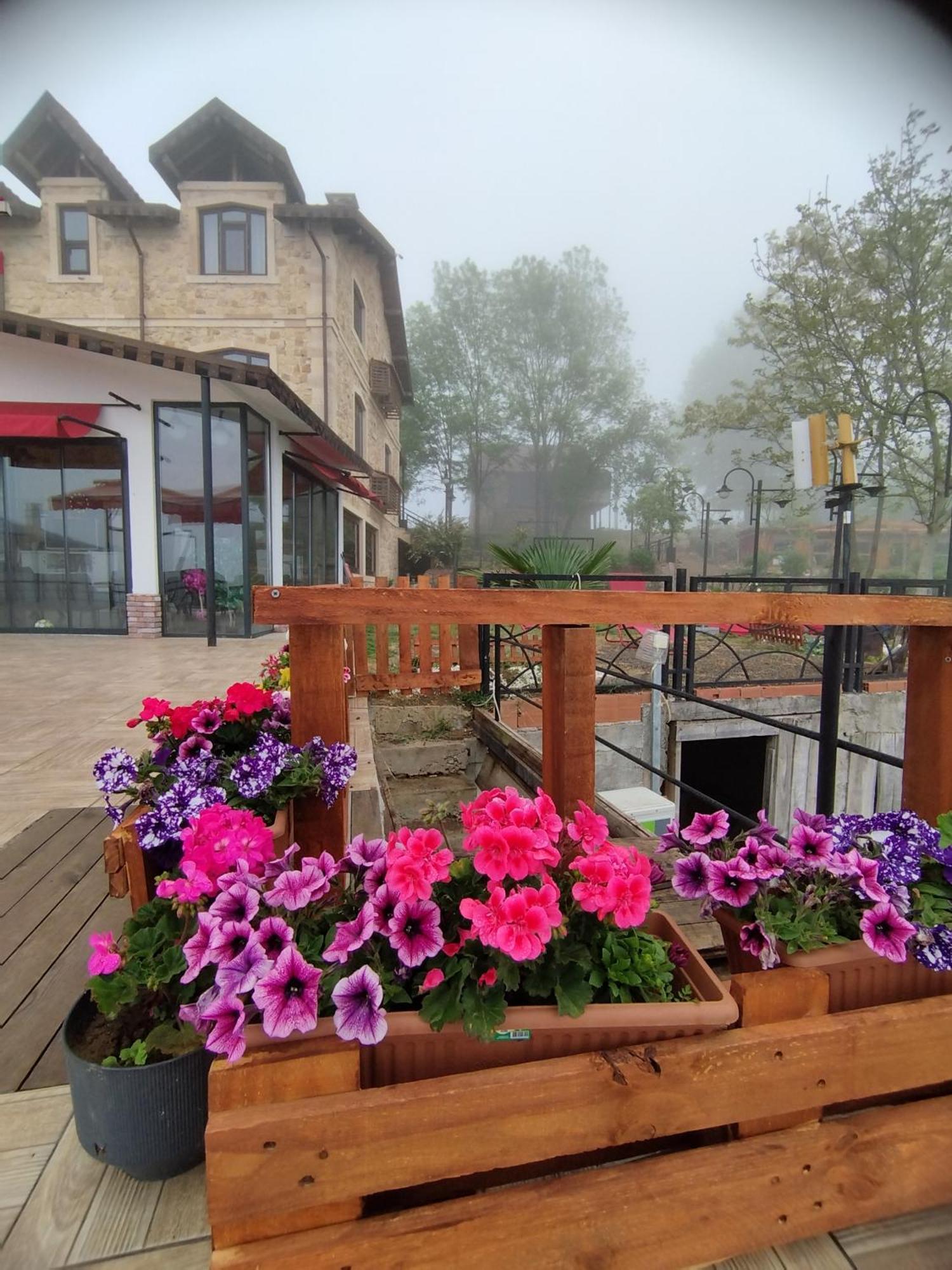 Hayat Oksijen Resort Ordu Kültér fotó
