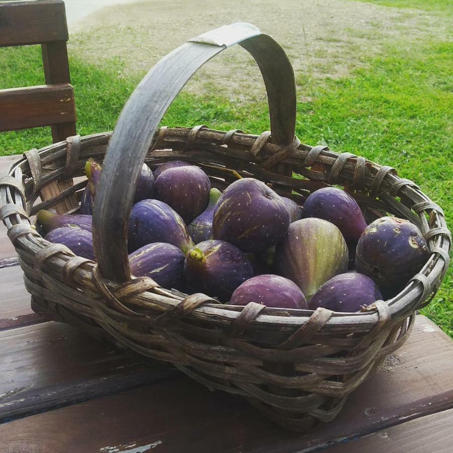 Hayat Oksijen Resort Ordu Kültér fotó